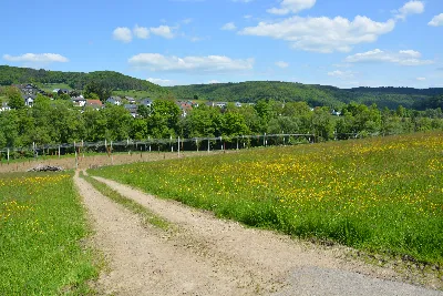 DSC_0198.JPG