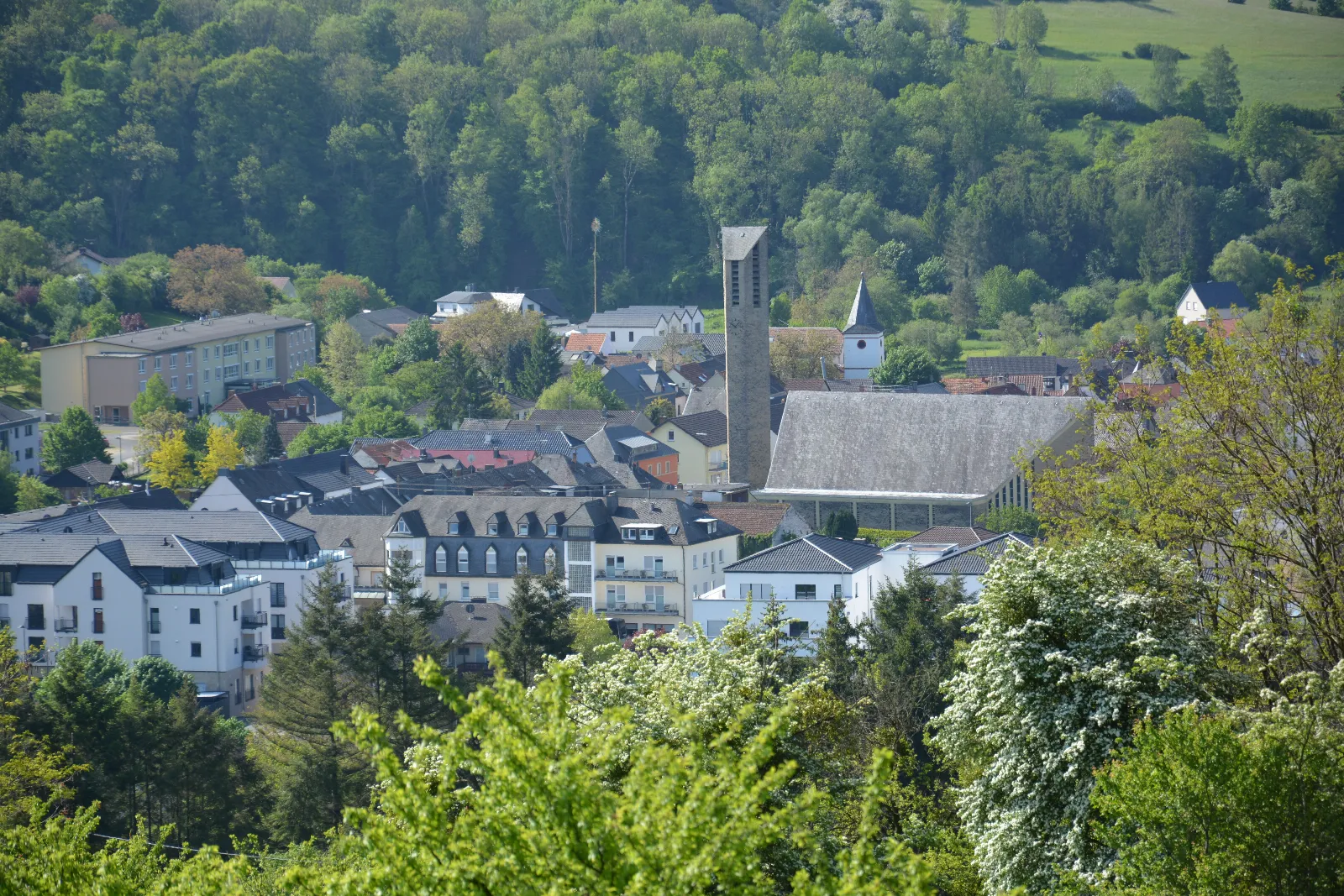 DSC_0061.JPG