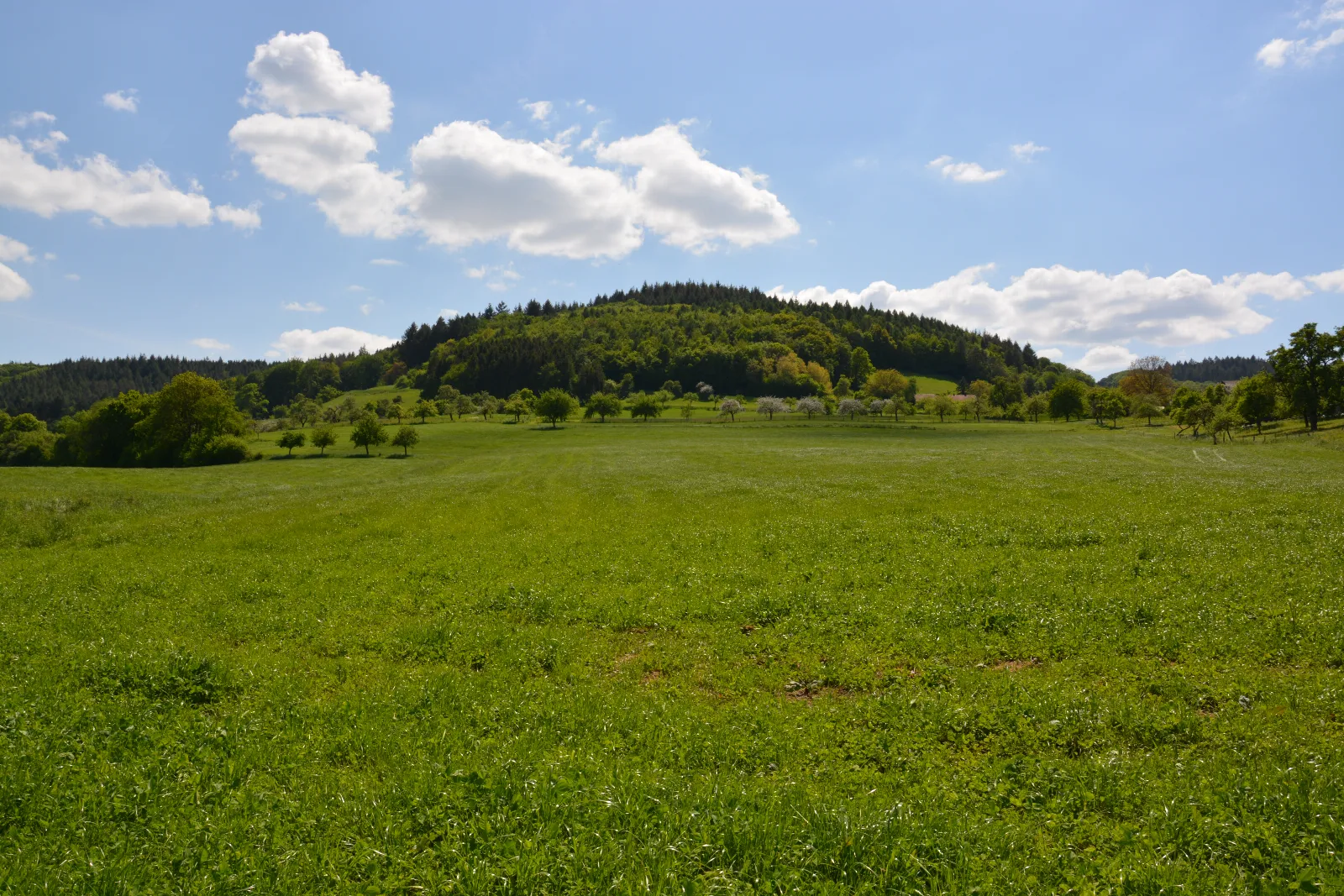 DSC_0197.JPG