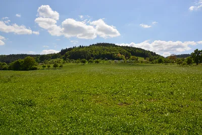 DSC_0197.JPG
