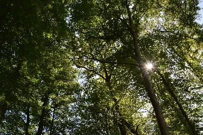 DSC_0186.JPG