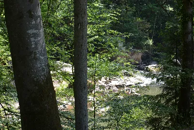 DSC_0180.JPG