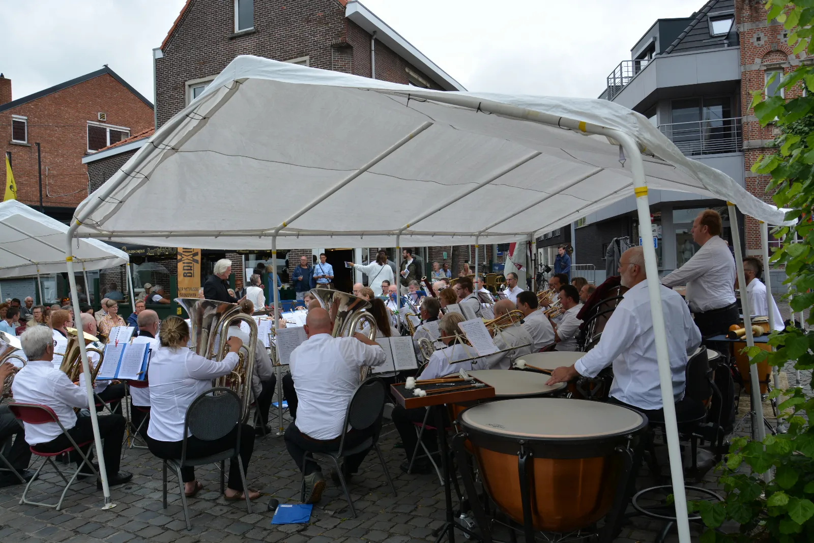 DSC_0080.JPG