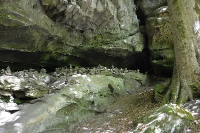 DSC_0190.JPG