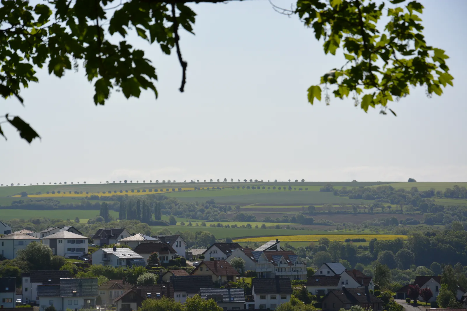 DSC_0072.JPG